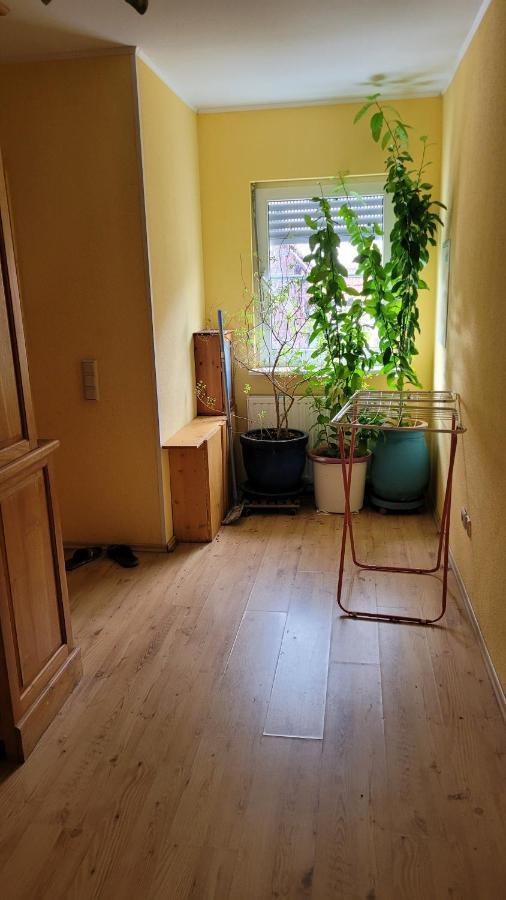 Selzen别墅 外观 照片